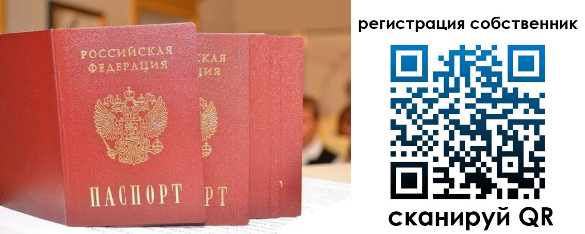 пропишу в квартире в Покрове